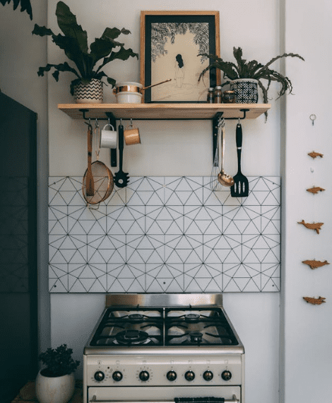 Modern kitchen with plants and decor